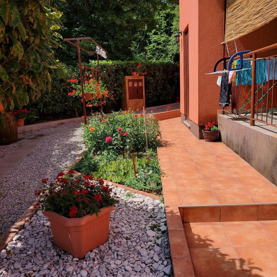 Studio Apartman Branka Labin  Εξωτερικό φωτογραφία