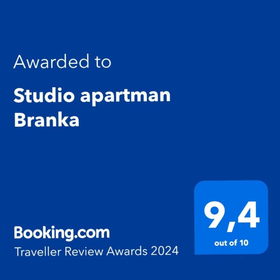 Studio Apartman Branka Labin  Εξωτερικό φωτογραφία